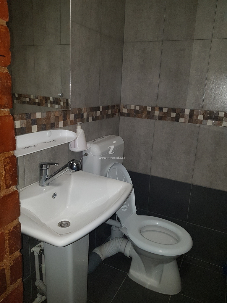 Baie cu chiuvetă și toaletă